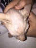 UNADJUSTEDNONRAW_thumb_e19.jpg