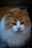 IMG_1067_sm.jpg