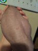 63FECC6C-CDB3-4B29-9307-F845DC8D8DA3.jpeg
