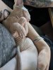 IMG_20180225_163937.jpg
