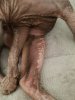 20180513_164156.jpg