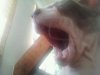 uploadfromtaptalk1360588307463.jpg