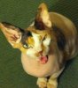 ImageUploadedByTapatalk 21361584368.084445.jpg
