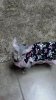 2013-03-12_19-31-41_566.jpg