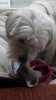 2013-03-10_14-30-04_216.jpg