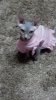 2013-03-07_08-22-35_472.jpg