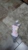 2013-03-07_08-21-50_863.jpg