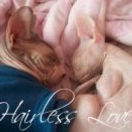 Hairlesslove