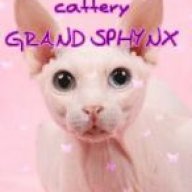 Grand Sphynx