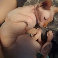 Pinkysmommy