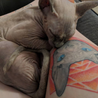 Jennyaitchison