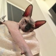 Anita9