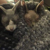 EltonandDolly