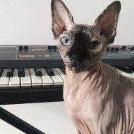 Cocoandcirca