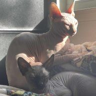 LordBeerus