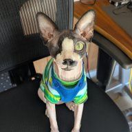 CharliesParents