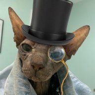 Catz1215