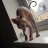 Monkeylover