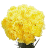 Suetrade