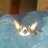 nettie1221