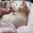 ILoveCats