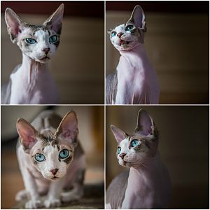 Abby modeling for the camera