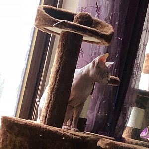 98322D92-30F9-45D0-9FEF-591B48B2BFD2