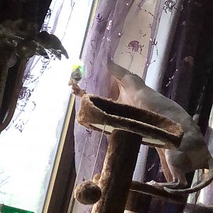 6026935F-48FD-4E2B-98C0-8D82DF05FEAD