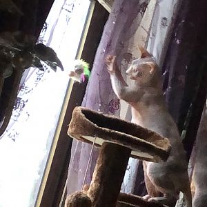 46F5EDE3-12D6-4433-9A5F-BE1C70FEEB0C