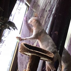 94E3F1B8-F7AD-4D43-865E-4854A4DCD0AA