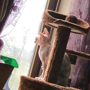 75A23FBF-E70C-408F-8567-7D37F4BCC092