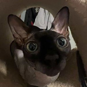 Wide eyed