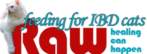 www.rawfeedingforibdcats.org