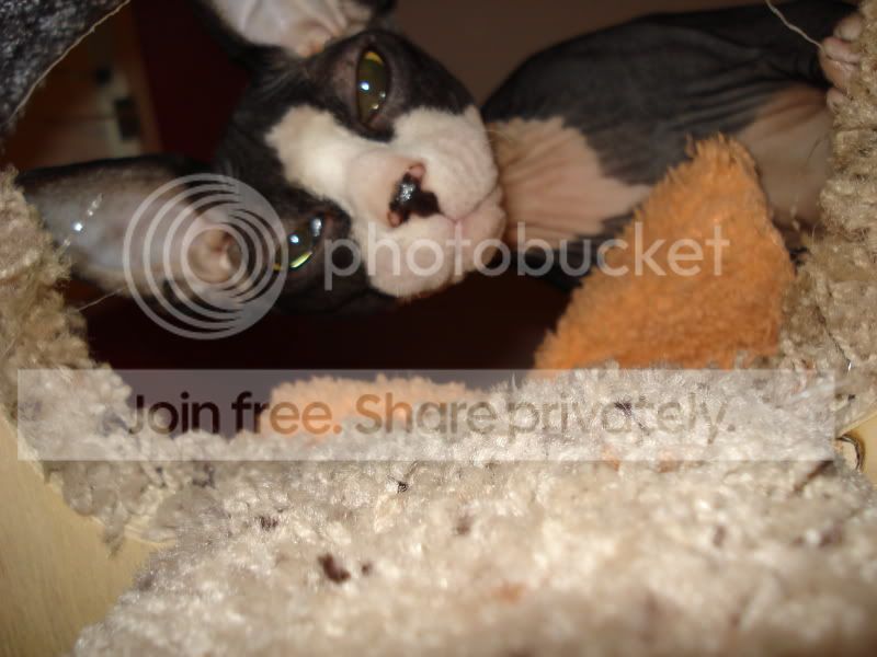 DSC00711.jpg