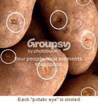 potato_eye.jpg