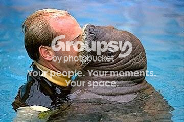 walruskiss.png