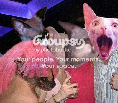 BareNakedKittiesParty001_zpsf9d35b21.jpg
