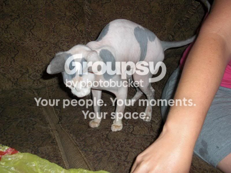 max3.jpg