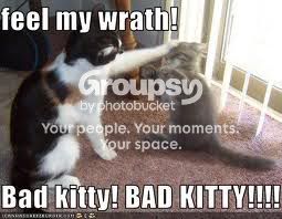 badkitty1.jpg