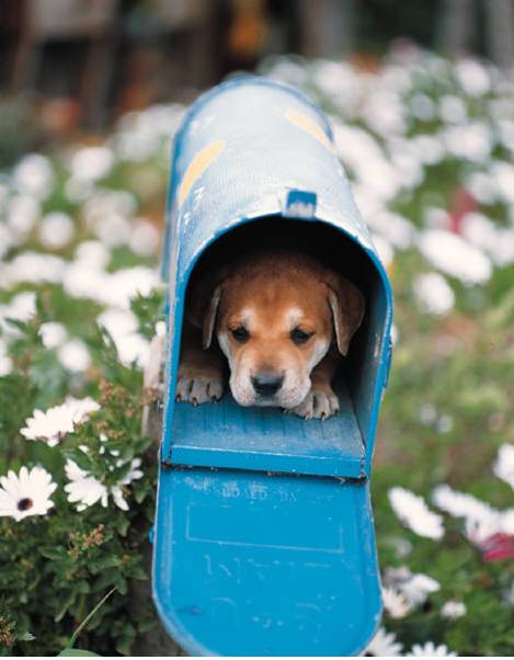 mailbox.jpg