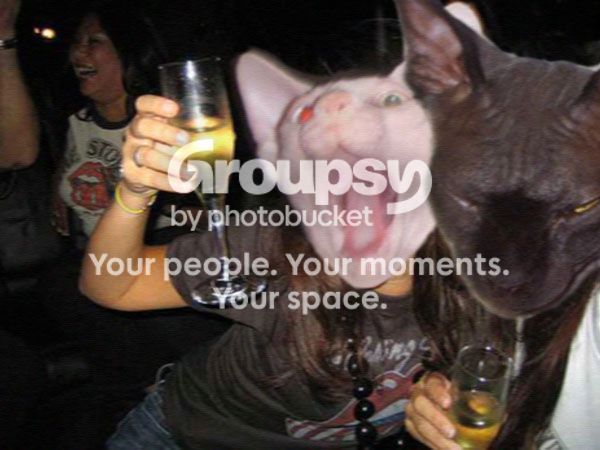 BareNakedKittiesParty005_zps99b22175.jpg
