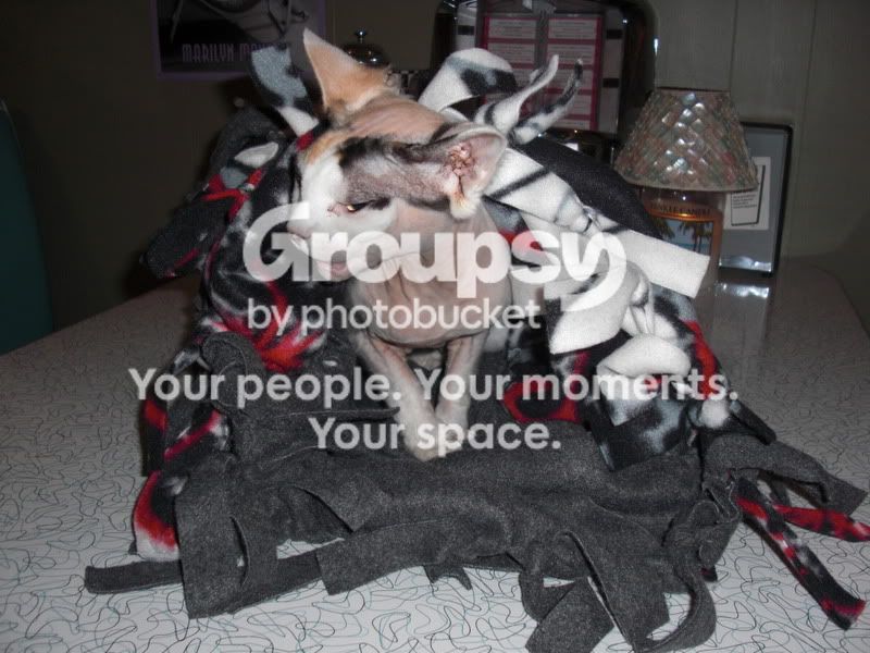 CIMG2778.jpg