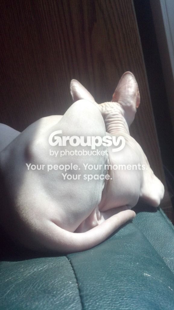 2012-06-24_15-46-44_80.jpg
