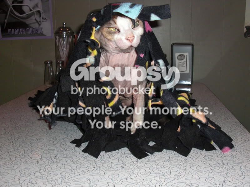 CIMG2753.jpg