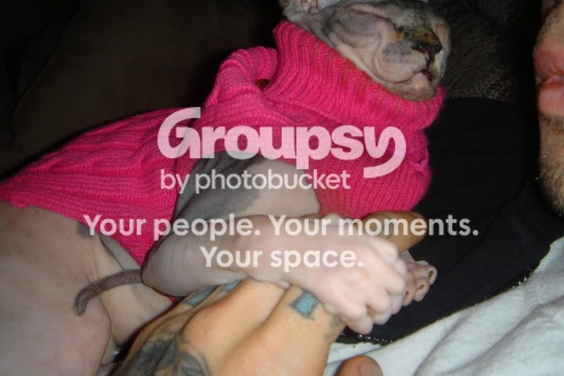 stuff086.jpg