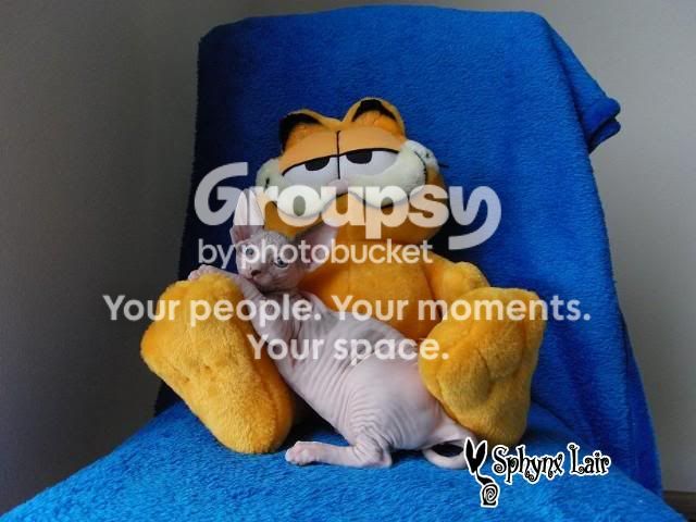 user89_pic6482_1284734905.jpg