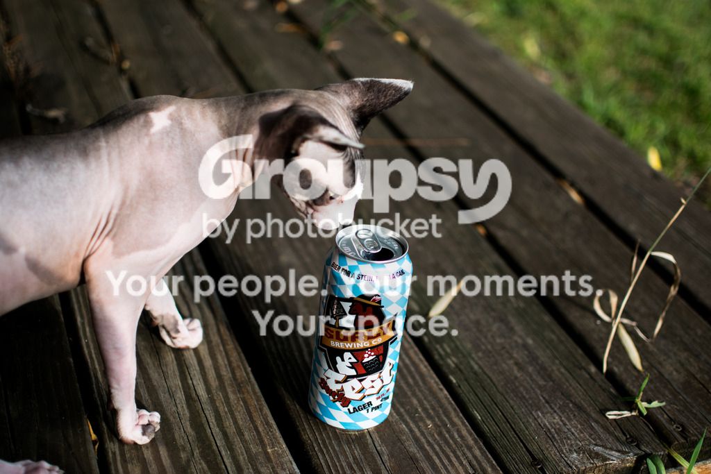 DSC_0591_zps1gde5wgk.jpg