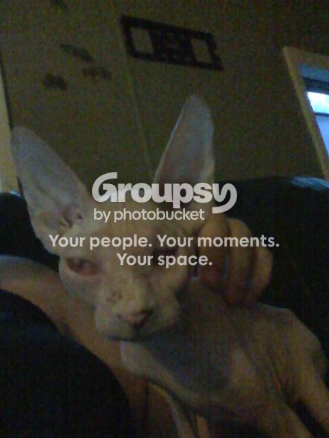 2012-06-22_21-16-27_838.jpg