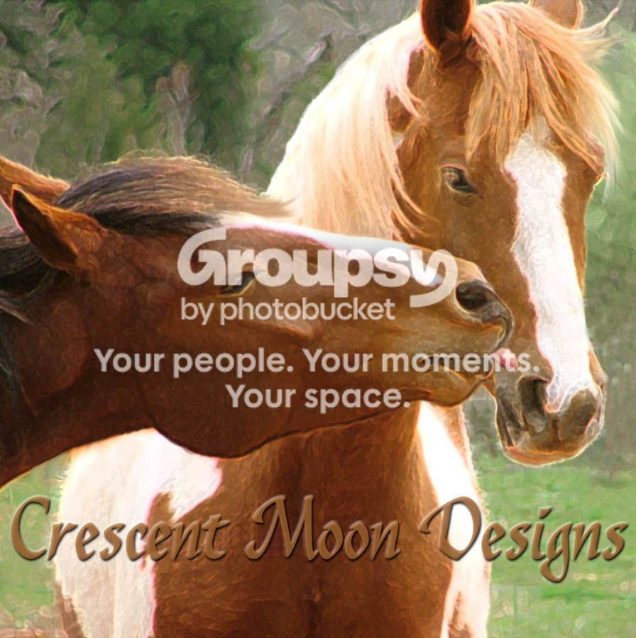 Horsekissessmall2.jpg