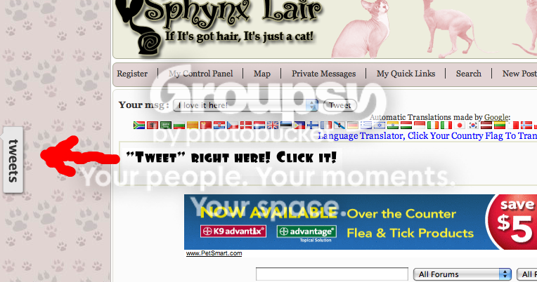 Picture10-2-1.png
